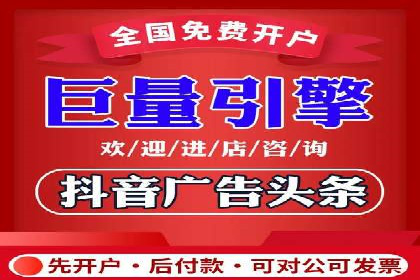XX领域竞价广告的投放策略及效果展示